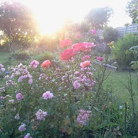 Bed & Breakfast D'hotes Beauregard *
