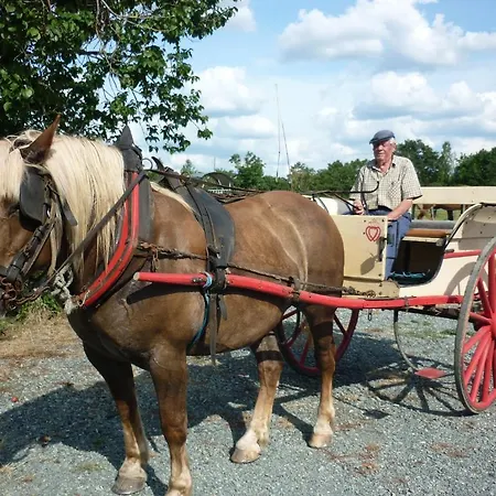 D'hotes Beauregard Bed & Breakfast